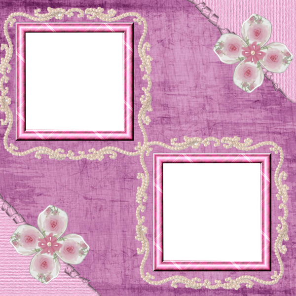 ambiance rose