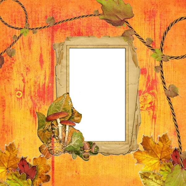 couleur d'automne